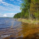 kirkasvetinen, matalasti syvenevä ranta ja puustoinen metsäkaistale