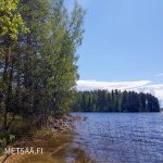 kirkasvetinen Saimaan ranta ja koivikkoinen metsätila Ruokolahdella