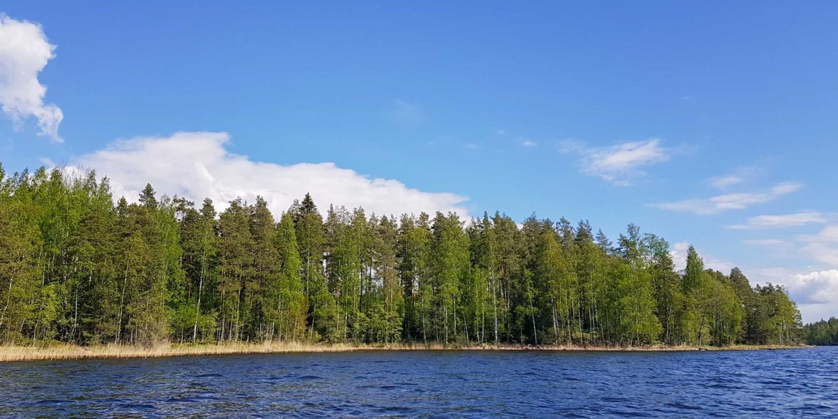 järvimaisema ja tiheä lehtipuusto loivasti syvenevän rannan äärellä