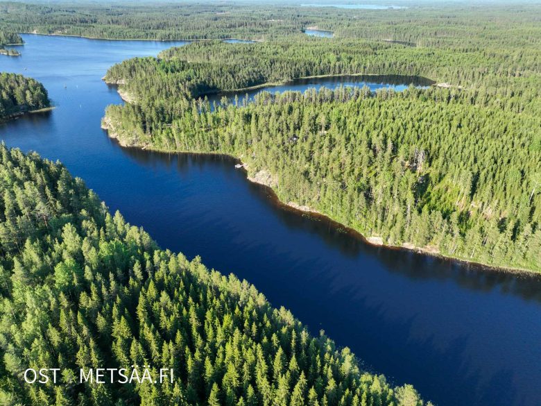 Dronekuva Puulaveden Siliänsalmesta, metsäinen niemialue ja vesistö