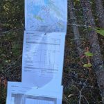 Metsäarvion kartta ja tiedot Talvitienkorven metsätilasta Ilmajoen Huississa