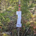 Tiedotteita ja myyntiasiakirjoja kiinnitetty puuhun maastossa