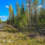 Metsätila rajoittuu hyvään soratiehen Käijänlahdentiellä
