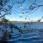 Näkymä Vermasjärvelle metsätilan rannasta