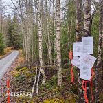 Opastusasiakirjat ja kartat kiinnitetty puuhun Inhankulmantiellä, taustalla metsä.