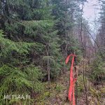 Tilamerkintä metsän reunassa Puro-tilalla – metsätila Ikaalinen, myydään metsää Pirkanmaa