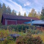 Runsasta kasvustoa ja vanha rakennus talouskeskuksen alueella – tontti Viitasaari