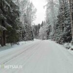 Tieyhteys myytävälle metsätilalle Ikaalisten Riitialassa talvisen metsän keskellä.