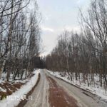 Pitkä tieyhteys ja lumisen tien reunustama koivikko Hämeenkyrössä.