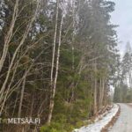 Tienvarsikoivikkoa ja rinnemaastoa Vesajärven alueella Hämeenkyrössä.