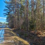 Kulmala metsätila rajautuu Kotisalontiehen Ikaalisissa