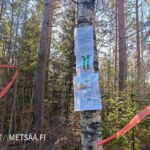 Myyntiesite ja Ostametsää.fi kuitunauhat liehuvat myytävällä metsätilalla Ikaalisissa
