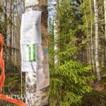 Myynti-ilmoitus kohteella koivun kyljessä