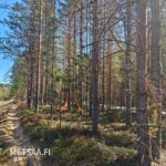 Vesahiekan metsätila rajoittuu suoraan Kyröskoski-Vesajärvi asfalttitiehen.