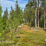 Kallioinen rakennuspaikka luonnonläheisellä rantatontilla