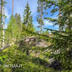 Kallioista ja metsäistä maastoa Puulaveden rantatontilla