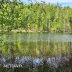 Puulaveden rantamaisemaa omarantaiselta tontilta