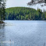 Maisema Puulaveden Siliänsalmeen omarantaiselta rantatontilta Mikkelissä