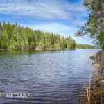 Rantaviivaa ja järvimaisemaa Puulaveden rauhallisella länsirannalla