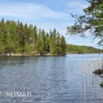 Näkymä Siliänsalmeen ja ympäröivään metsämaisemaan rantatontilta