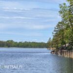 Rantamaisema ja kallioinen ranta Puulaveden Siliänsalmessa