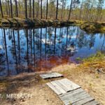 Uimakelpoinen lammikko saunatuvan rannassa Mäntyhaka-metsätilalla