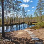 Lampi ja rantapolku metsän keskellä
