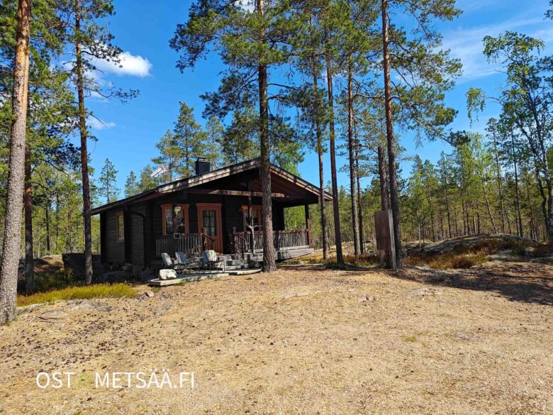 Saunatupa ja aurinkoinen pihapiiri metsätilalla