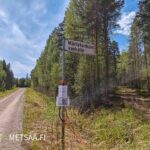 Opaste Mäntykankaan vanhatielle metsäalueen läheisyydessä