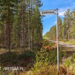 Opaste Särkinevan metsätielle Kurikan alueella
