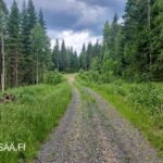 Tieyhteys Uusipuron metsätilalle Polvijärven Rasivaarassa