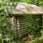 Vanha hirsirakennus metsäalueella Teurastenmaa ja Sorko -metsätiloilla Riitialassa
