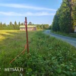 Uusipuron metsätilalle johtava soratie ja maastoon merkitty opastus Polvijärvellä