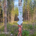 Uusipuron metsätilan myyntiesite ja kartat maastoon kiinnitettyinä Polvijärven Rasivaarassa