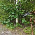 Korpelantie-kyltti ja Uusipuron metsätilan opastusmerkinnät Polvijärven Rasivaarassa
