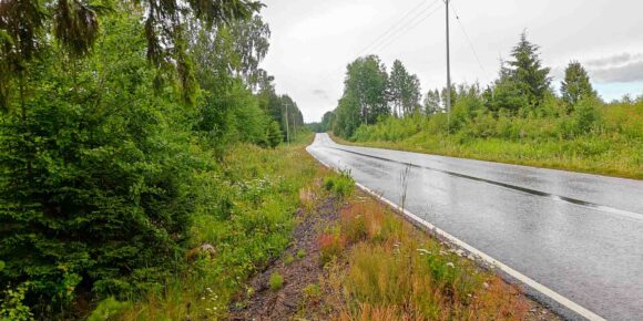Vesilahdentie kulkee myytävän metsätilan läpi Urjalan Pynnässä