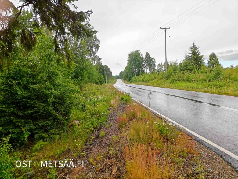 Vesilahdentie kulkee myytävän metsätilan läpi Urjalan Pynnässä