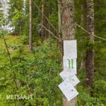 Myynti-ilmoitus maastossa myytävällä metsätila Simola -kiinteistöllä Pirkanmaalla