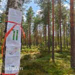 Kohde-esite opastaa tutustumaan mäntyvaltaiseen Reuhto-metsätilaan Kankaanpään Hirvikankaalla.