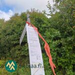 Saarilahden metsäalueen mäntyvaltaista puustoa ja valmis tieyhteys Ikaalisissa