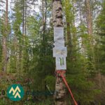 Saarilahden metsäalueen myynti-ilmoitus, kohdekartta ja opastusnauhat maastossa