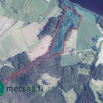 Ilmakuva, johon myytävän Saarilahden metsäisen määräalan rajat on merkitty punaisella