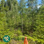 Metsän ympäröimä valoisa ja kostea painanne Saarilahden metsäalueella Ikaalisissa
