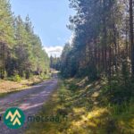 Hyväkuntoinen metsätie Ukkosmetsän metsätilan rajalla