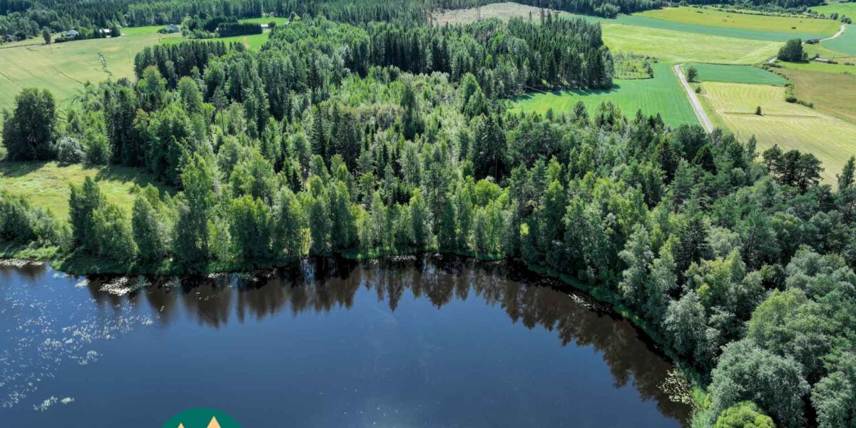 Dronekuva Saarilahden metsäisestä rantapalstasta ja sitä ympäröivistä pelloista Ikaalisissa