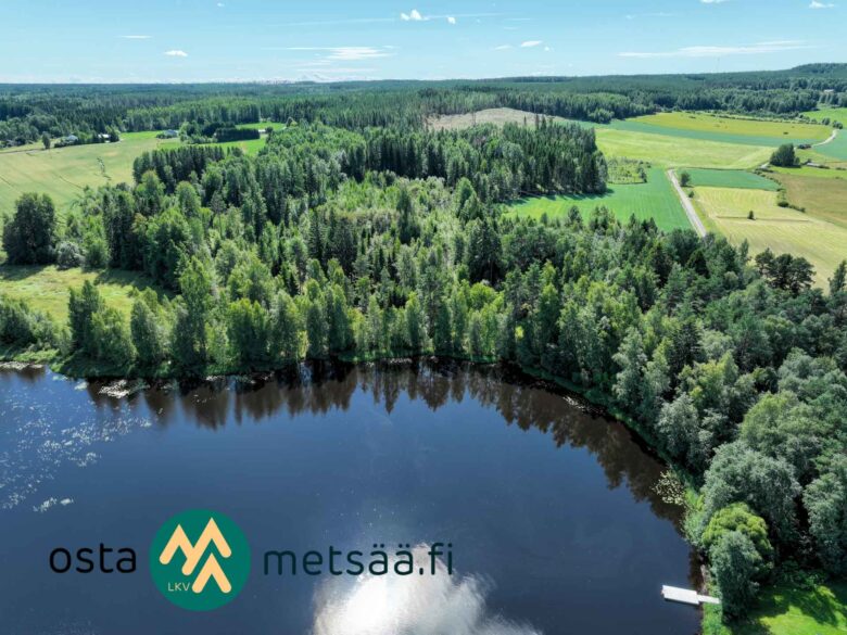 Dronekuva Saarilahden metsäisestä rantapalstasta ja sitä ympäröivistä pelloista Ikaalisissa