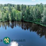 Saarilahden suojaisa lahdenpohjukka ja metsäinen oma ranta ilmasta kuvattuna