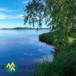 Näkymä Saarilahden rantatontilta Kyrösjärvelle Ikaalisten Vatsiaisissa