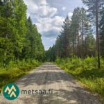 Hyvä tieyhteys myytävälle metsätilakokonaisuudelle Ilomantsin Sianvaarassa