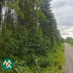 Sianvaarantie kulkee myytävien metsäpalstojen halki Ilomantsissa